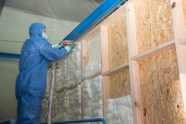 Best Energy-Efficient Insulation  in USA